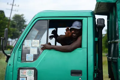 DSC_8806 (Large).JPG